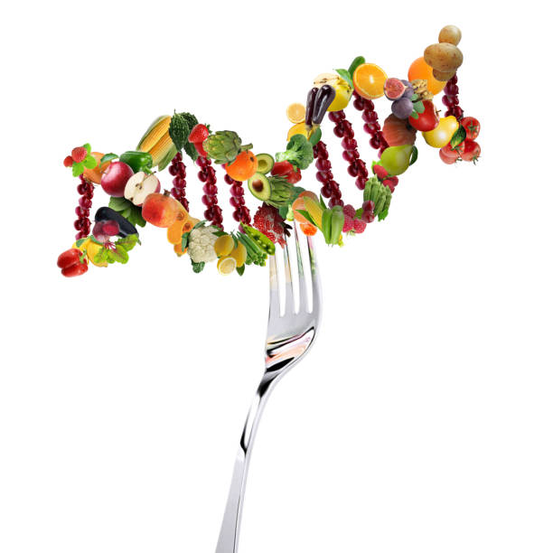 nutrigenetics koncept grönsaker och frukter dna strandar på gaffeln - flower dna bildbanksfoton och bilder