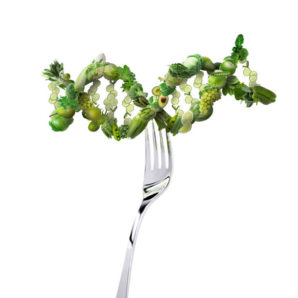 istock Nutrigenetics concept veggies and fruits DNA Strand on the fork 1170357604