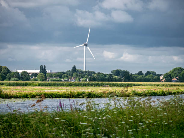 istock Green power in the green heart 1170357833