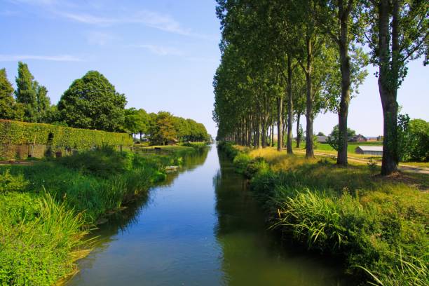 istock View on typical dutch endless straight waterway canal lined with green grass and poplar trees in countryside 1170362028