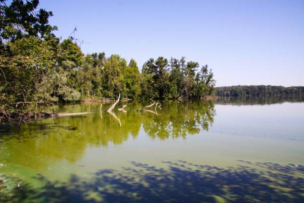 istock View on german lake in summer 1170362295