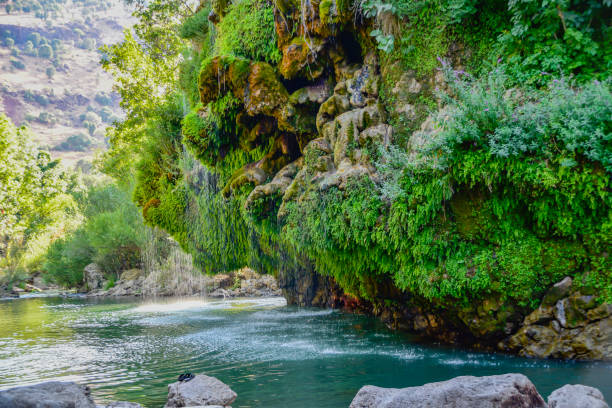 istock Beautiful waterfall in northern Iraq 1170362347