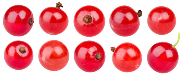 istock Collection of red currant berries 1170363157