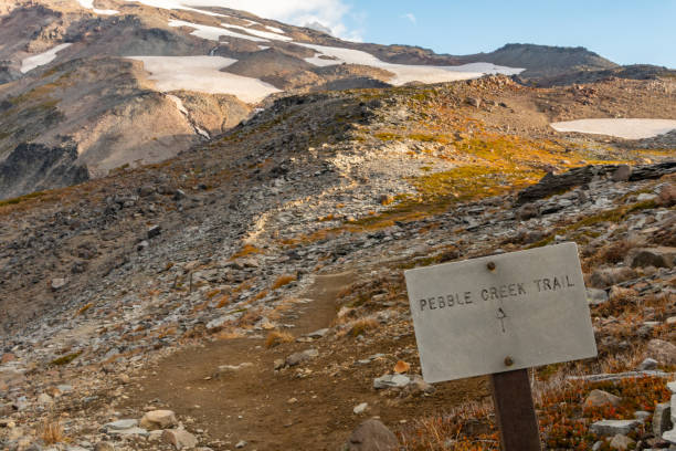 istock Pebble Creek Trail Sign 1170364386