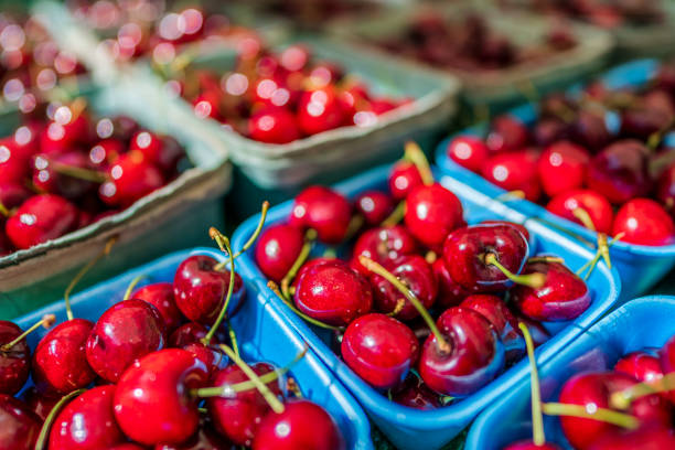 ciudad de edmonton en alberta canadá - farmers market fruit market berry fruit fotografías e imágenes de stock