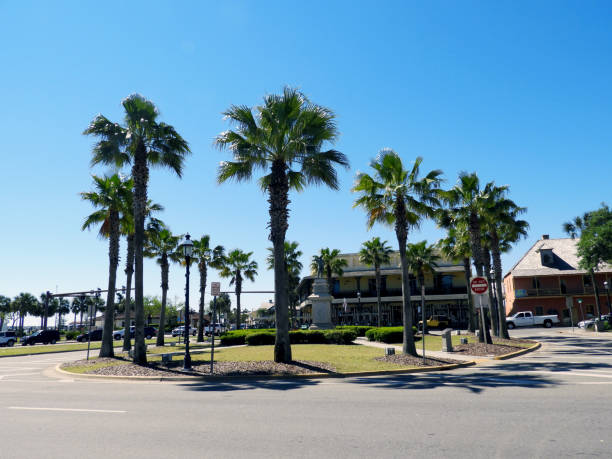 istock Palm Trees in St. Augustine Florida at Traffic Circle 1170366070