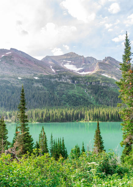 istock The Edge of Lake Josephine 1170366193