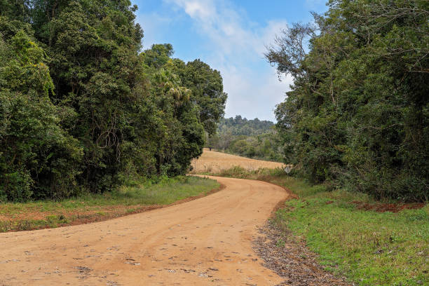 istock A Country Dirt Road 1170367536