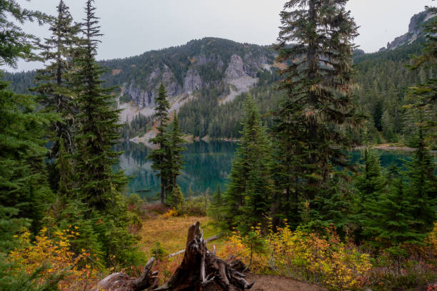 istock Waters of Eunice Lake Below Tolmie Peak 1170367863