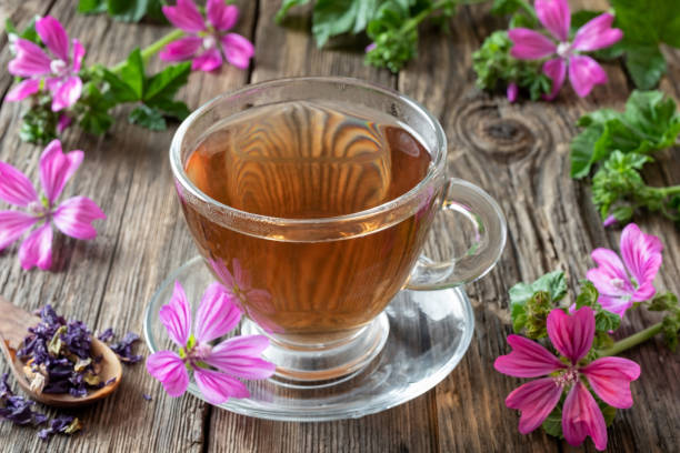 istock Mallow tea with fresh malva sylvestris flowers 1170367997