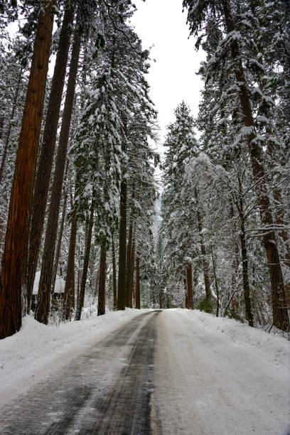 istock Yosemite Valley Road in Winter 1170368053