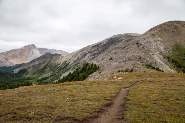 istock Assiniboine National Park, Canada 1170370891