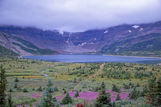 istock Lake Magog, Assiniboine National Park, BC, Canada 1170370934