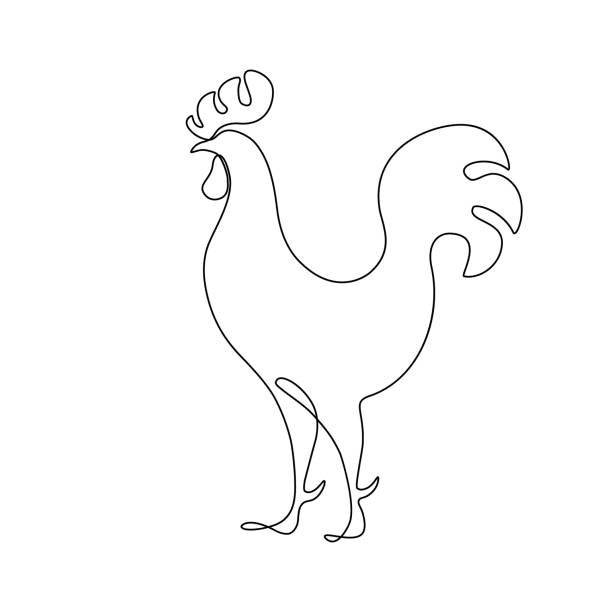 illustrazioni stock, clip art, cartoni animati e icone di tendenza di gallo - chicken silhouette animal rooster