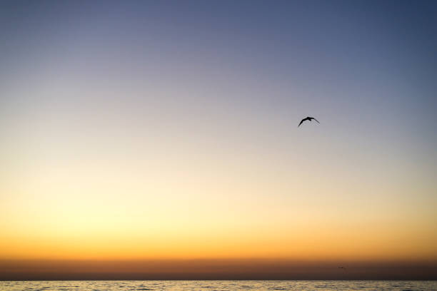Beautiful sunrise and sea