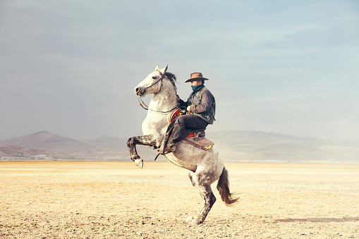 Cowboy on rearing horse, dogs and wild horses. Horses - Yilki Atlari live in Hurmetci Village, between Cappadocia and Kayseri, in Central Anatolian region of Turkey.