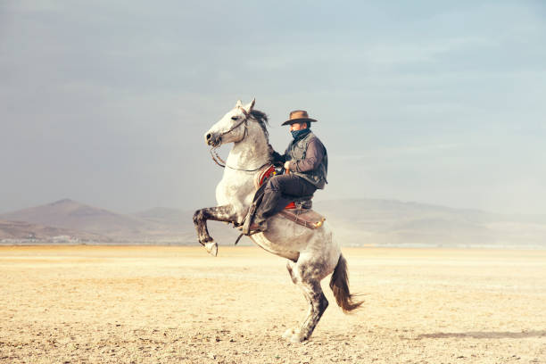 Cowboy riding horses. prancing horse Cowboy on rearing horse, dogs and wild horses. Horses - Yilki Atlari live in Hurmetci Village, between Cappadocia and Kayseri, in Central Anatolian region of Turkey. cowboy stock pictures, royalty-free photos & images