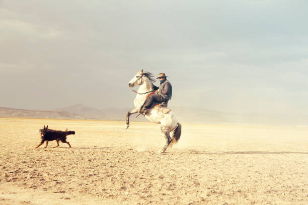 istock Cowboy riding horses. prancing horse 1170373409