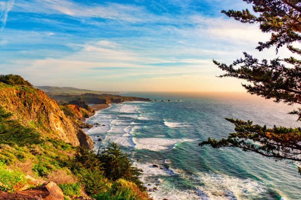 acantilados sobre el océano pacífico - coastline big sur usa the americas fotografías e imágenes de stock