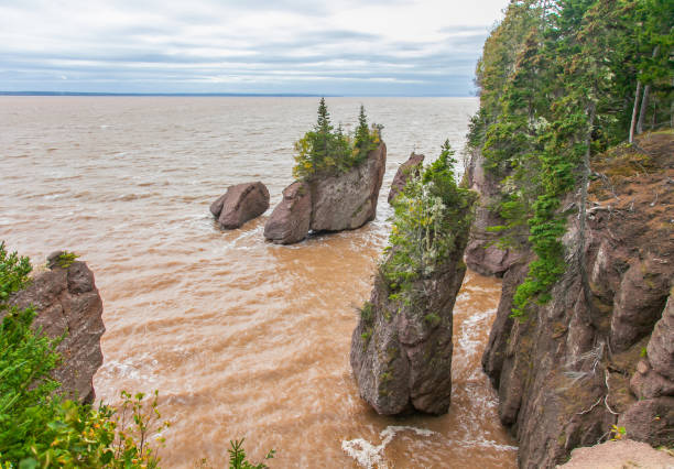 istock Fundy National Park - Canada 1170388694