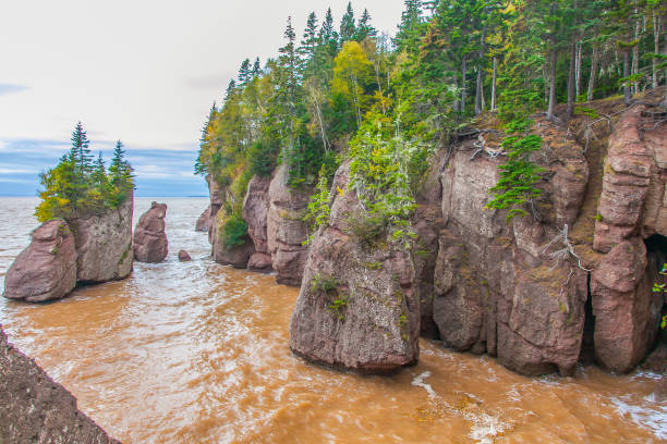 istock Fundy National Park - Canada 1170388698