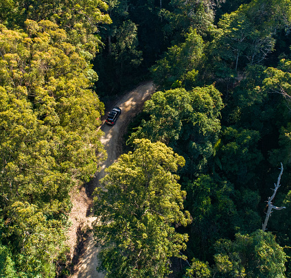 4WD car driving on path in natural forest aerial shot at sunrise. Beautiful location for camping, fishing and family holiday in a four wheel drive
