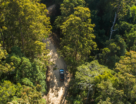 4WD car driving on path in natural forest aerial shot at sunrise. Beautiful location for camping, fishing and family holiday in a four wheel drive