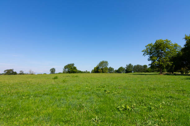 istock Civil War Battlefield 1170397492