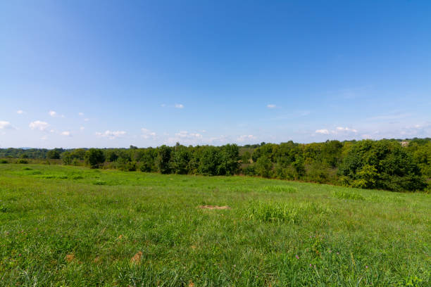 istock Civil War Battlefield 1170397528
