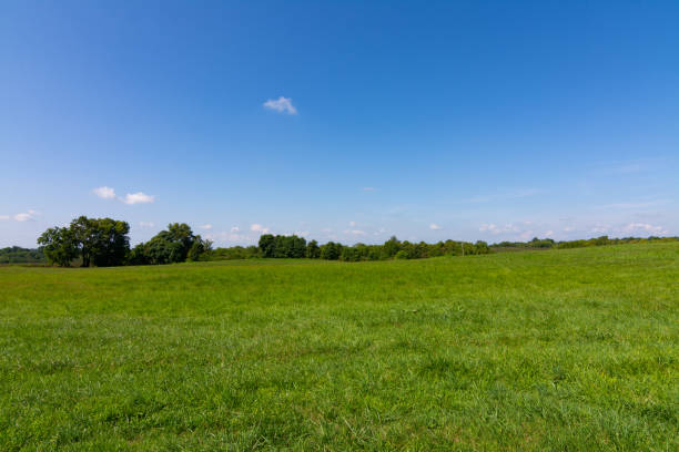 istock Civil War Battlefield 1170397606