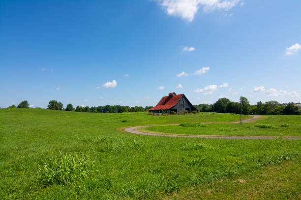 istock Civil War Battlefield 1170398165