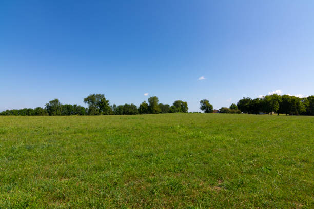 istock Civil War Battlefield 1170398166