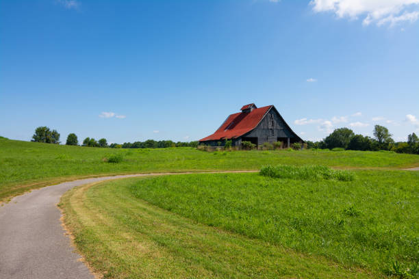 istock Civil War Battlefield 1170398226