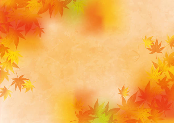 일본 단풍 배경 일러스트 - autumn leaf nature november stock illustrations