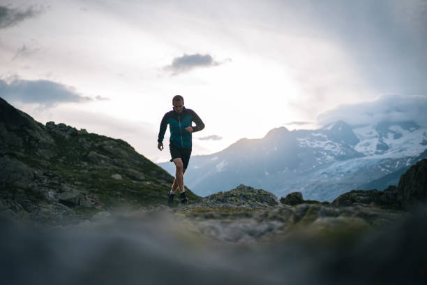 istock Trail runner bounds along mountain meadow in the morning 1170398583