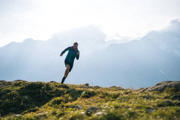 istock Trail runner bounds along mountain meadow in the morning 1170398620