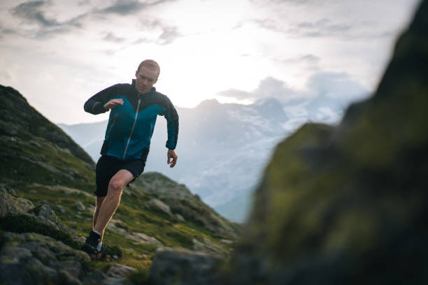 istock Trail runner bounds along mountain meadow in the morning 1170398642