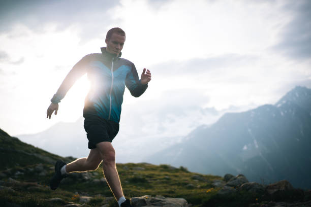 istock Trail runner bounds along mountain meadow in the morning 1170399422