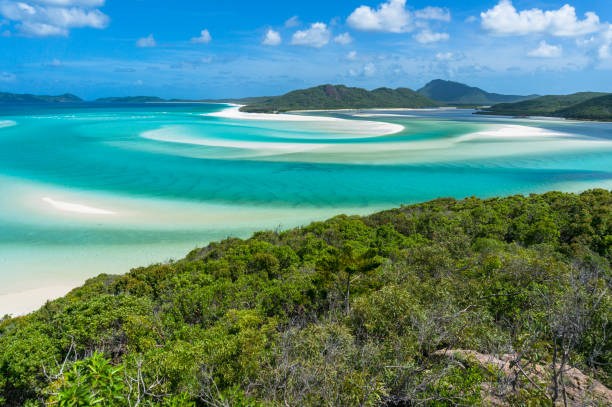 istock Tropical paradise summer vacation background 1170400308