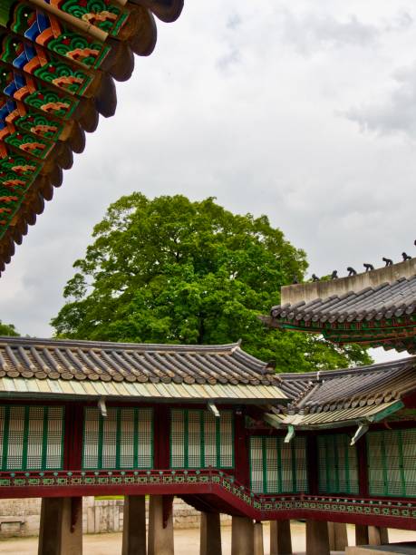 istock Korea's Traditional Palace Changdeok Palace 1170404192