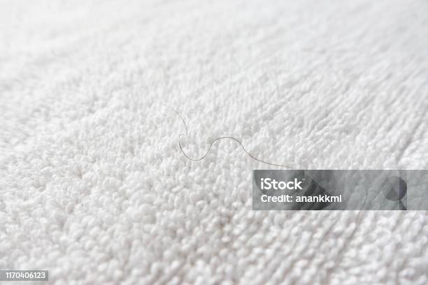 Pubic Hair Fall On White Towel Stock Photo - Download Image Now - Bedroom,  Black Color, Close-up - iStock
