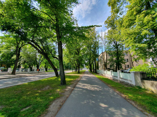 istock Kadriorg Park in Tallinn 1170407836