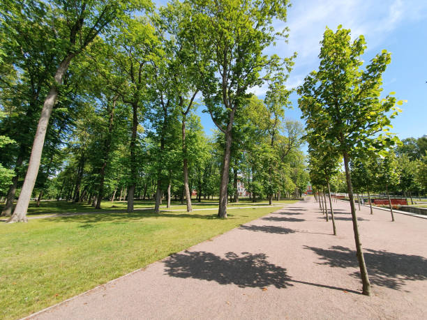 istock Kadriorg Park in Tallinn 1170407851