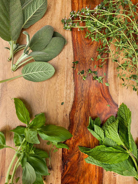 Various Herbs stock photo