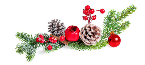 ベリー、パインコーンと赤いボールとクリスマスツリーブランチは、白い背景に隔離されています。マス・ガーランド新年の装飾。 - pine tree pine cone branch isolated ストックフォトと画像