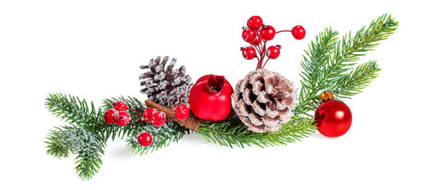 istock Christmas Tree Branch with Berries, Pine cone and red ball isolated on white background. Xmas Garland. New year Decoration. 1170415145