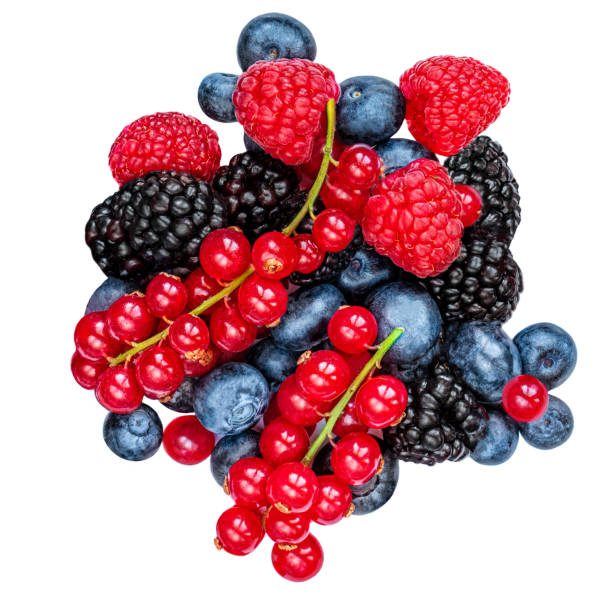 istock Mix berries with leaf isolated on a white background. Fresh Raspberry, Blueberry, Currant berry, Blackberry and Mint leaves