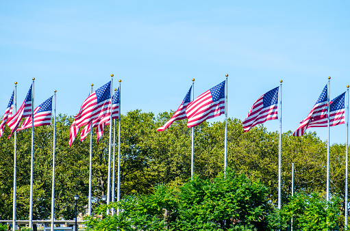 Series of American flags the Liberty State Park in Jersey city during summer day