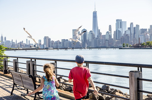 Kids frightening Seagulls with Manhattan skyline
