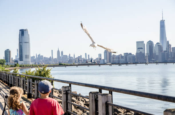 Kids frightening Seagulls with Manhattan skyline